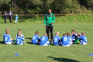 米兰全站app登录app-中国足球战术模块组合搭配分析,国足战术风格